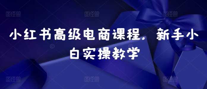 小红书高级电商课程，新手小白实操教学-虫2小屋