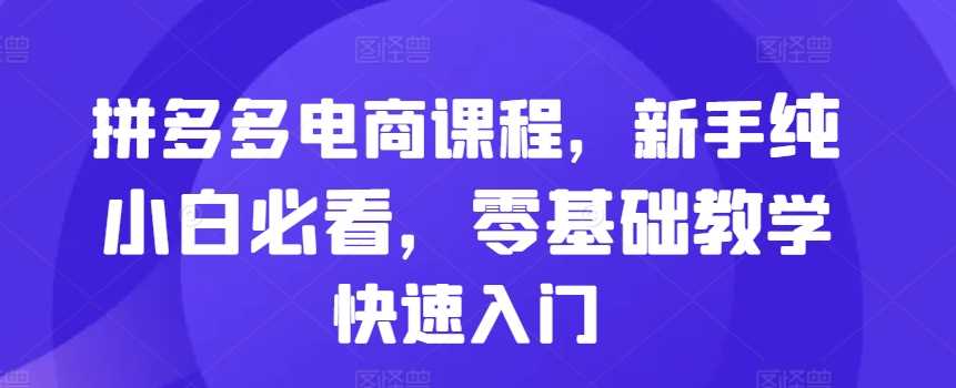 拼多多电商课程，新手纯小白必看，零基础教学快速入门-虫2小屋