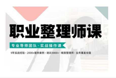 职业整理师培训(新版)，实战操作课-虫2小屋