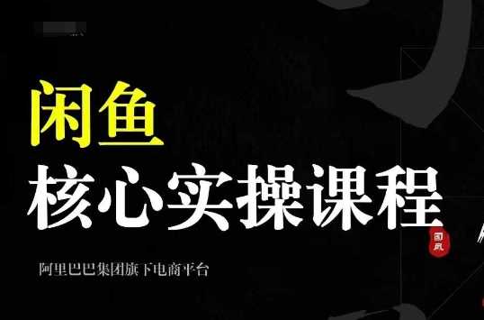 2024闲鱼核心实操课程，从养号、选品、发布、销售，教你做一个出单的闲鱼号-虫2小屋