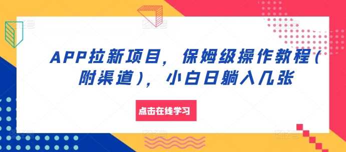 APP拉新项目，保姆级操作教程(附渠道)，小白日躺入几张【揭秘】-虫2小屋