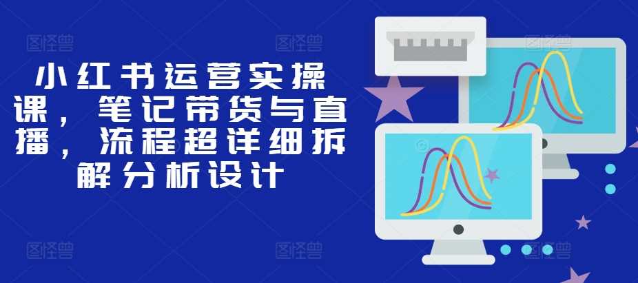 小红书运营实操课，笔记带货与直播，流程超详细拆解分析设计-虫2小屋