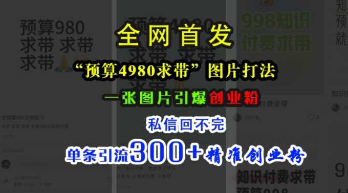 小红书“预算4980带我飞”图片打法，一张图片引爆创业粉，私信回不完，单条引流300+精准创业粉-虫2小屋