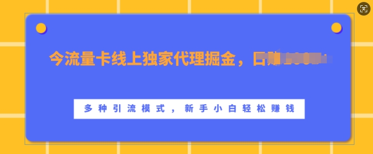 流量卡线上独家代理掘金，日入1k+ ，多种引流模式，新手小白轻松上手【揭秘】-虫2小屋