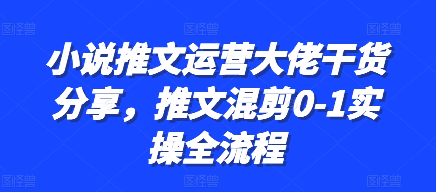 小说推文运营大佬干货分享，推文混剪0-1实操全流程-虫2小屋