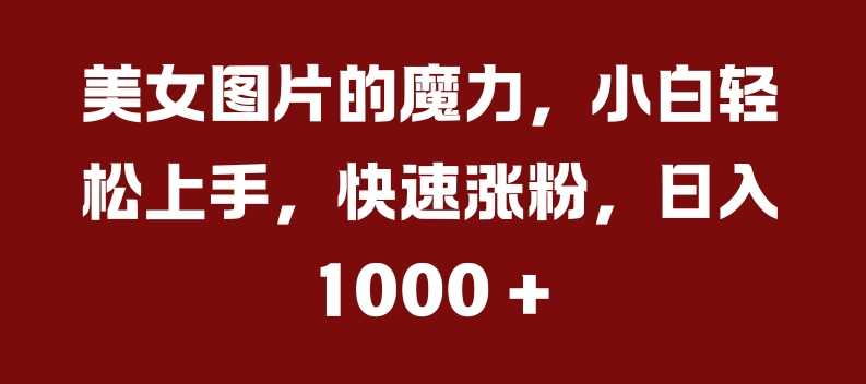 美女图片的魔力，小白轻松上手，快速涨粉，日入几张【揭秘】-虫2小屋