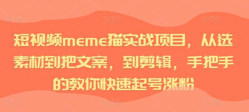 短视频meme猫实战项目，从选素材到把文案，到剪辑，手把手的教你快速起号涨粉-虫2小屋