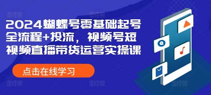 2024蝴蝶号零基础起号全流程+投流，视频号短视频直播带货运营实操课-虫2小屋