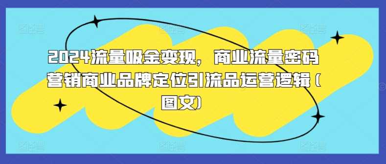 2024流量吸金变现，商业流量密码营销商业品牌定位引流品运营逻辑(图文)-虫2小屋