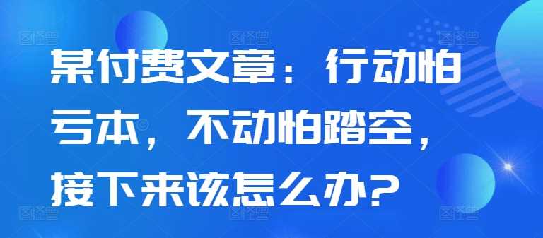 某付费文章：行动怕亏本，不动怕踏空，接下来该怎么办?-虫2小屋