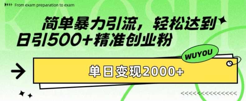 简单暴力引流，轻松达到日引500+精准创业粉，单日变现2k【揭秘】-虫2小屋