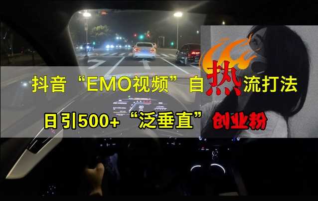 抖音EMO视频自热打法，日引500+“泛垂直”创业粉-虫2小屋