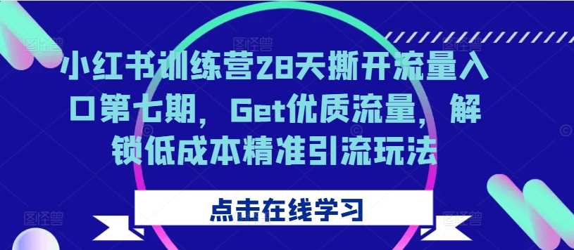 小红书训练营28天撕开流量入口第七期，Get优质流量，解锁低成本精准引流玩法-虫2小屋
