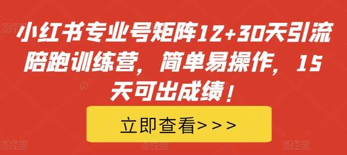小红书专业号矩阵12+30天引流陪跑训练营，简单易操作，15天可出成绩!-虫2小屋
