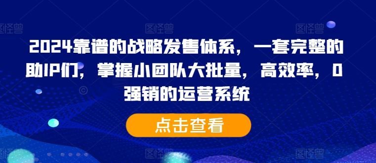 2024靠谱的战略发售体系，一套完整的助IP们，掌握小团队大批量，高效率，0 强销的运营系统-虫2小屋