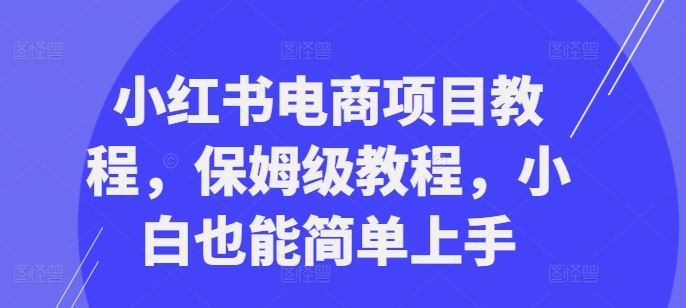 小红书电商项目教程，保姆级教程，小白也能简单上手-虫2小屋