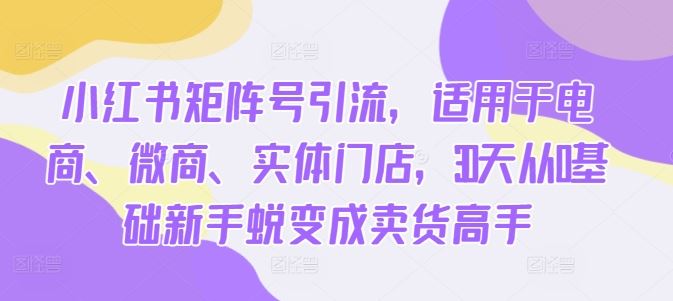 小红书矩阵号引流，适用于电商、微商、实体门店，30天从0基础新手蜕变成卖货高手-虫2小屋