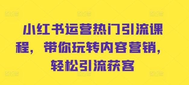 小红书运营热门引流课程，带你玩转内容营销，轻松引流获客-虫2小屋