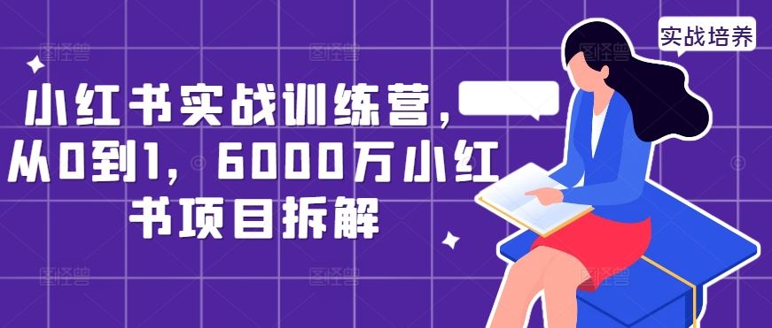 小红书实战训练营，从0到1，6000万小红书项目拆解-虫2小屋