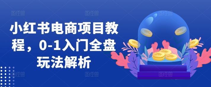 小红书电商项目教程，0-1入门全盘玩法解析-虫2小屋
