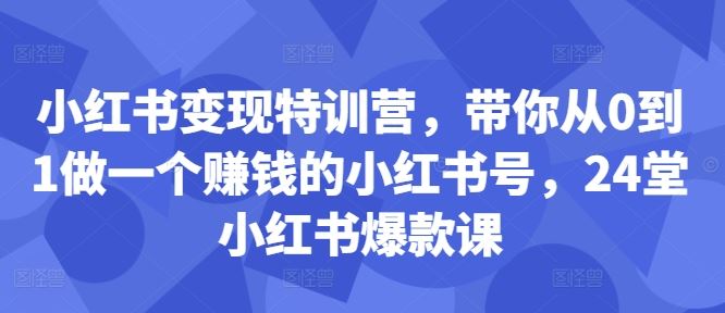 小红书变现特训营，带你从0到1做一个赚钱的小红书号，24堂小红书爆款课-虫2小屋