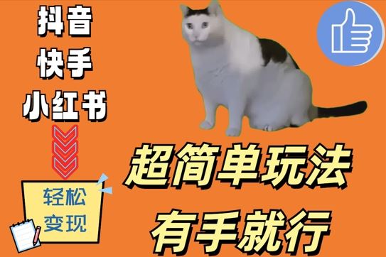 超简单玩法，有手就行，靠猫咪视频日入500+【揭秘】-虫2小屋