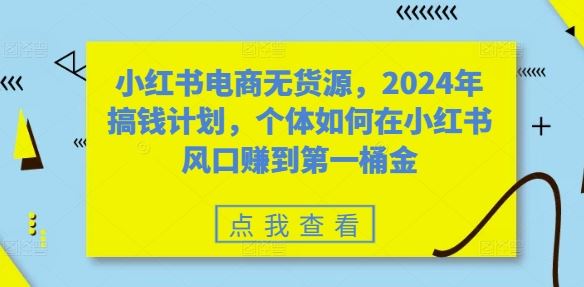 小红书电商无货源，2024年搞钱计划，个体如何在小红书风口赚到第一桶金-虫2小屋