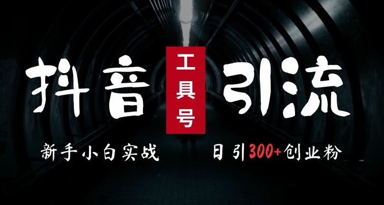 2024最新抖音工具号引流玩法，高效日引300+创业粉，当天变现5k，小白也可成为实战高手-虫2小屋