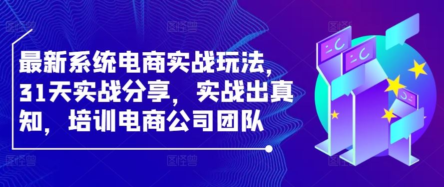 最新系统电商实战玩法，31天实战分享，实战出真知，培训电商公司团队-虫2小屋