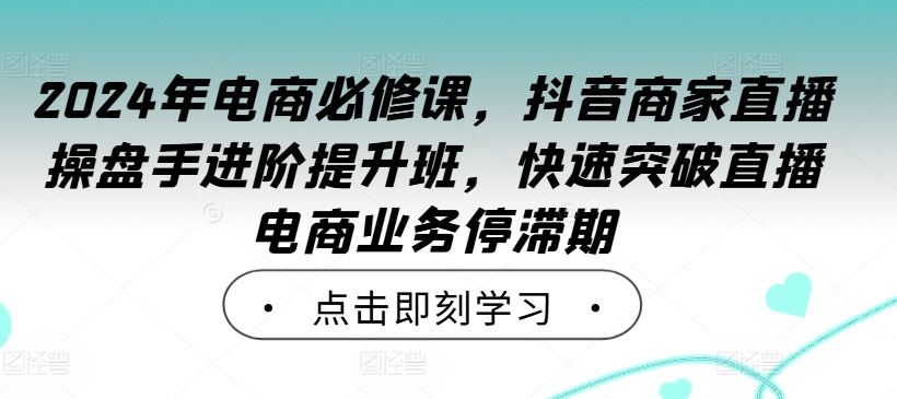 2024年电商必修课，抖音商家直播操盘手进阶提升班，快速突破直播电商业务停滞期-虫2小屋