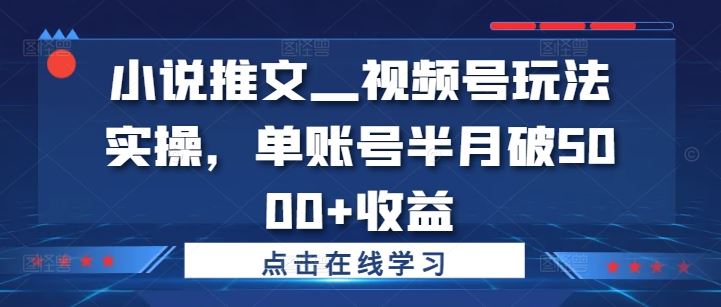 小说推文—视频号玩法实操，单账号半月破5000+收益-虫2小屋