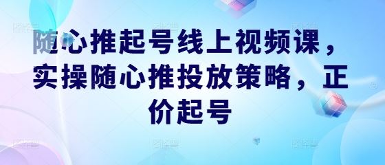 随心推起号线上视频课，实操随心推投放策略，正价起号-虫2小屋