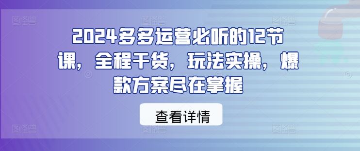 2024多多运营必听的12节课，全程干货，玩法实操，爆款方案尽在掌握-虫2小屋