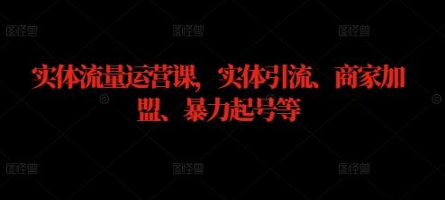 实体流量运营课，实体引流、商家加盟、暴力起号等-虫2小屋