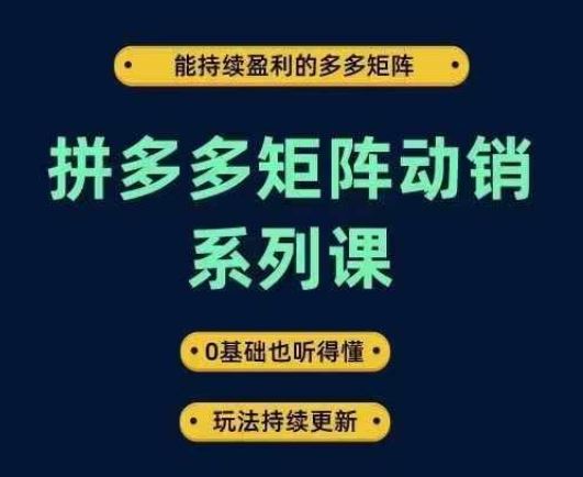 拼多多矩阵动销系列课，能持续盈利的多多矩阵，0基础也听得懂，玩法持续更新-虫2小屋