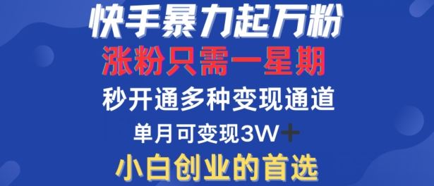快手暴力起万粉，涨粉只需一星期，多种变现模式，直接秒开万合，单月变现过W【揭秘】-虫2小屋