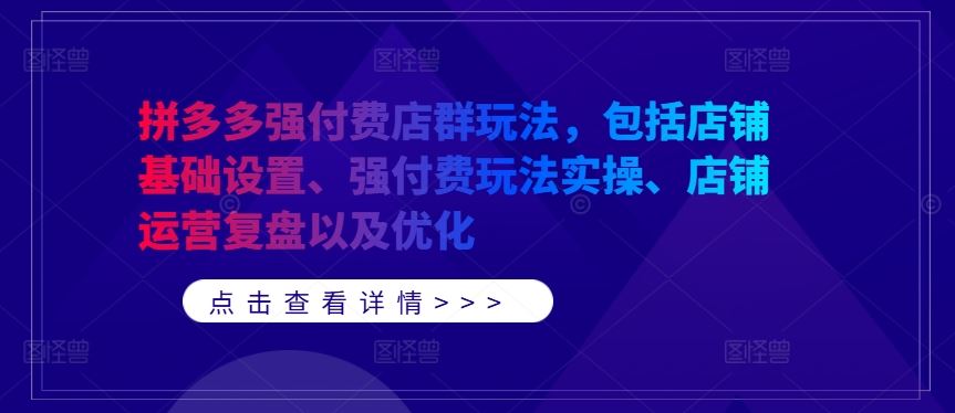 拼多多强付费店群玩法，包括店铺基础设置、强付费玩法实操、店铺运营复盘以及优化-虫2小屋