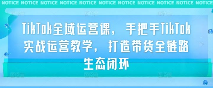 TikTok全域运营课，手把手TikTok实战运营教学，打造带货全链路生态闭环-虫2小屋