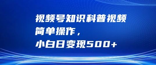 视频号知识科普视频，简单操作，小白日变现500+【揭秘】-虫2小屋