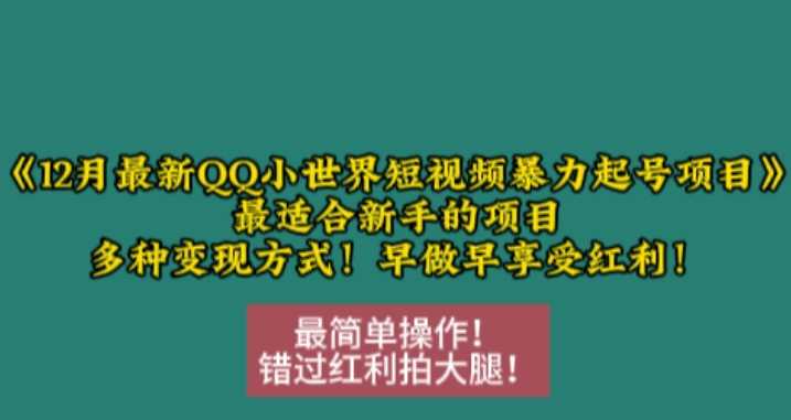12月最新QQ小世界短视频暴力起号项目，最适合新手的项目，多种变现方式-虫2小屋