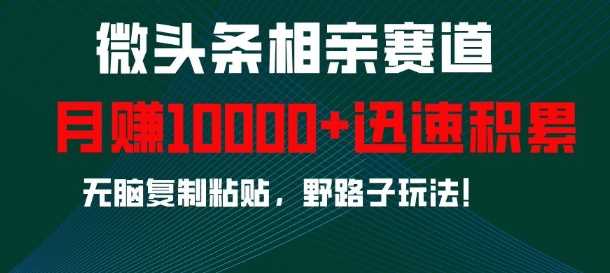 微头条相亲赛道，迅速积累，无脑复制粘贴，野路子玩法，月入1w-虫2小屋