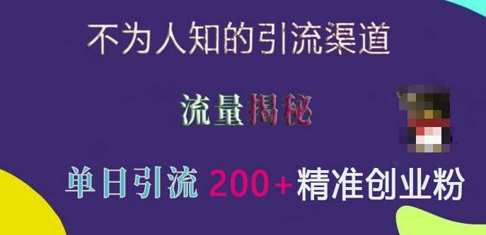 不为人知的引流渠道，流量揭秘，实测单日引流200+精准创业粉【揭秘】-虫2小屋