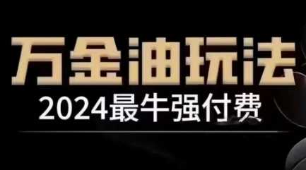 2024最牛强付费，万金油强付费玩法，干货满满，全程实操起飞（更新12月）-虫2小屋