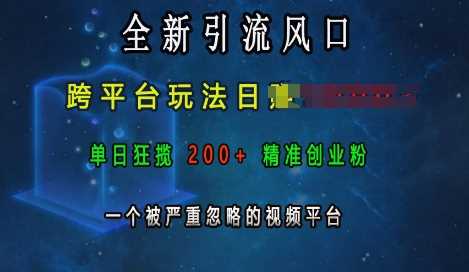 全新引流风口，跨平台玩法日入上k，单日狂揽200+精准创业粉，一个被严重忽略的视频平台-虫2小屋