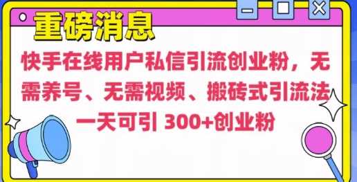快手最新引流创业粉方法，无需养号、无需视频、搬砖式引流法【揭秘】-虫2小屋