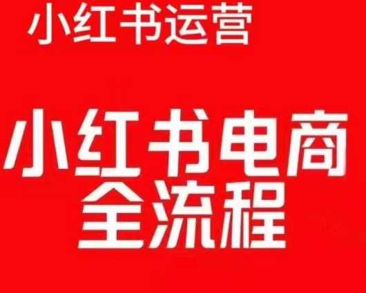 红薯电商实操课，小红书电商全流程-虫2小屋
