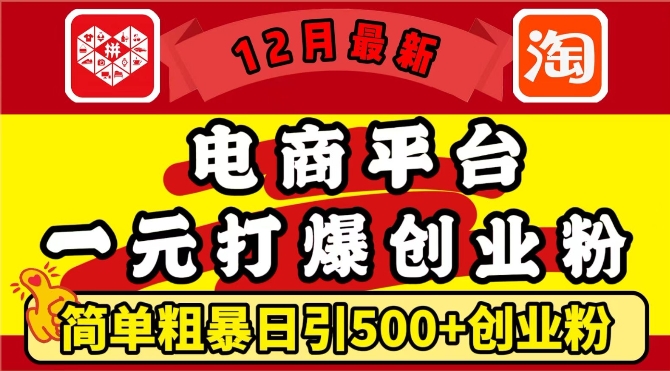 12月最新：电商平台1元打爆创业粉，简单粗暴日引500+精准创业粉，轻松月入过W【揭秘】-虫2小屋