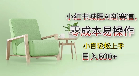 小红书减肥AI新赛道，零成本易操作，日入多张，小白轻松上手【揭秘】-虫2小屋