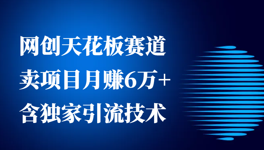 网创天花板赛道，卖项目月赚6万+，含独家引流技术（共26节课）-虫2小屋