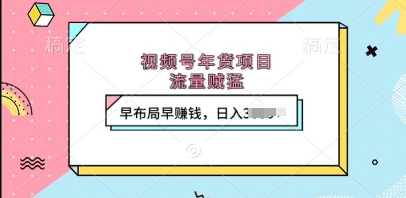 视频号年货项目，流量贼猛，早布局早挣钱，日入上k【揭秘】-虫2小屋